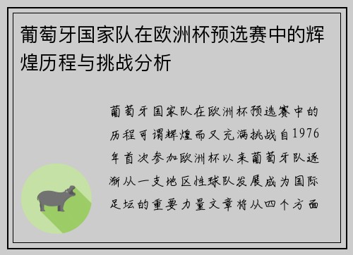 葡萄牙国家队在欧洲杯预选赛中的辉煌历程与挑战分析